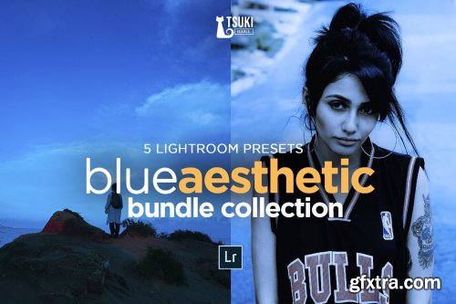 CreativeMarket - BLUE AESTHETIC Lightroom Presets 4619090