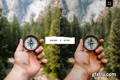 CreativeMarket - Wild Wishes – 6 Lightroom Presets 4876700