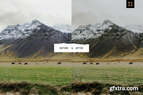 CreativeMarket - Wild Wishes – 6 Lightroom Presets 4876700