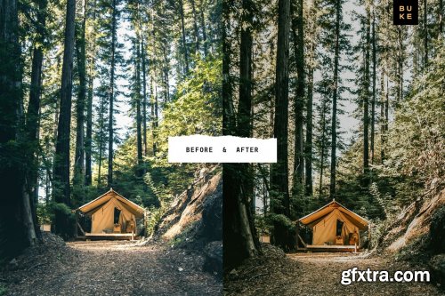 CreativeMarket - Wild Wishes – 6 Lightroom Presets 4876700