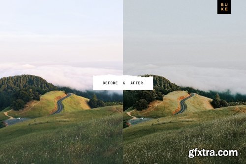 CreativeMarket - Wild Wishes – 6 Lightroom Presets 4876700