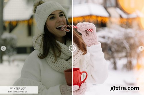 CreativeMarket - Winter Joy Mobile Presets 4423389