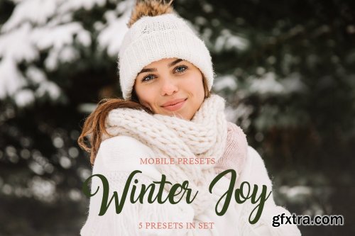 CreativeMarket - Winter Joy Mobile Presets 4423389