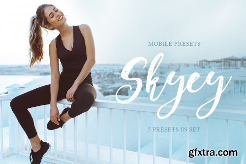 CreativeMarket - Skyey Mobile Presets 4143042