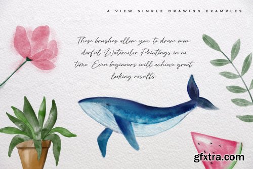 CreativeMarket - 40+ Aquarellist Watercolor Brushes 4581018