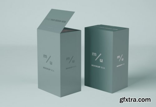 Box packaging mockup