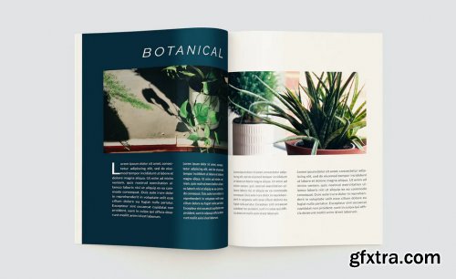 Plants Magazine