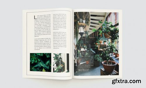 Plants Magazine