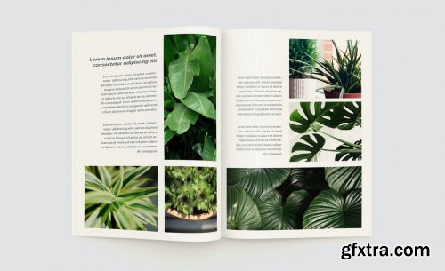 Plants Magazine