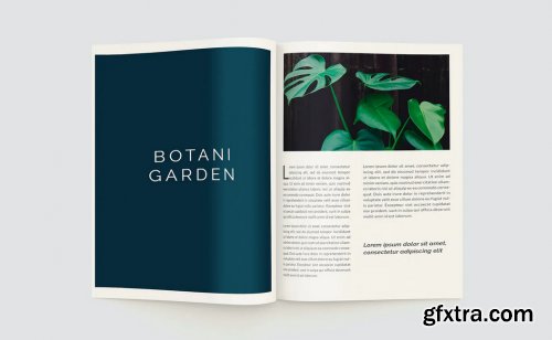 Plants Magazine