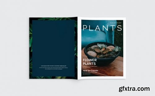 Plants Magazine