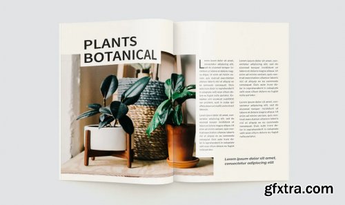 Plants Magazine