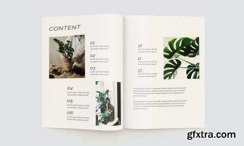 Plants Magazine