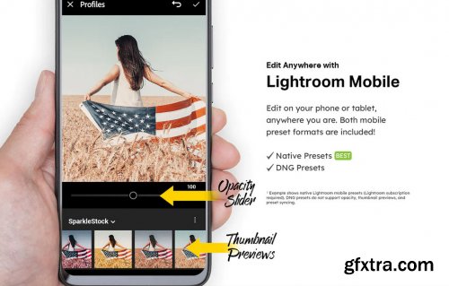 CreativeMarket - 20 Memorial Day Lightroom Presets and LUTs