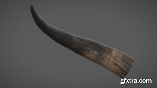 Texturing.xyz - Cow Horn #05