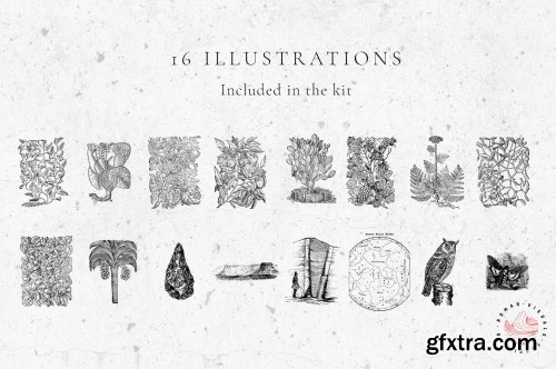 CreativeMarket - Storytelling Animated Stories Kit 2944673