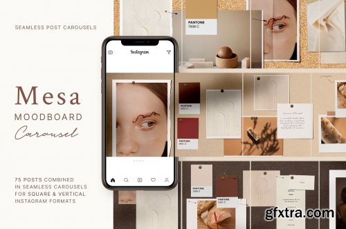 CreativeMarket - Mesa - Carousel Post Templates 3941666