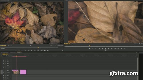 KelbyOne - Premiere CC Beyond the Basics