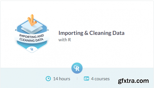 DataCamp Track - Importing & Cleaning Data with R