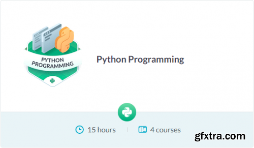 DataCamp Track - Python Programming