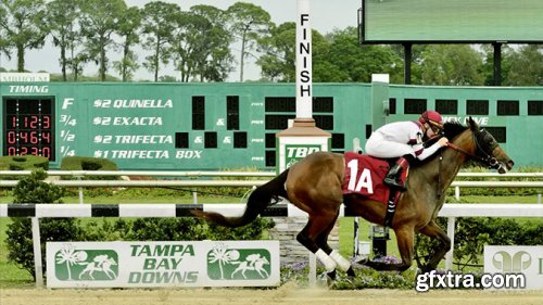 KelbyOne - Live Action Horse Racing Photography