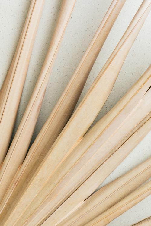 Dry fan palm leaf background - 2281980