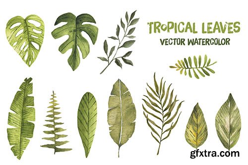 Watercolor vector tropical leaves palm leaf exotic jungle