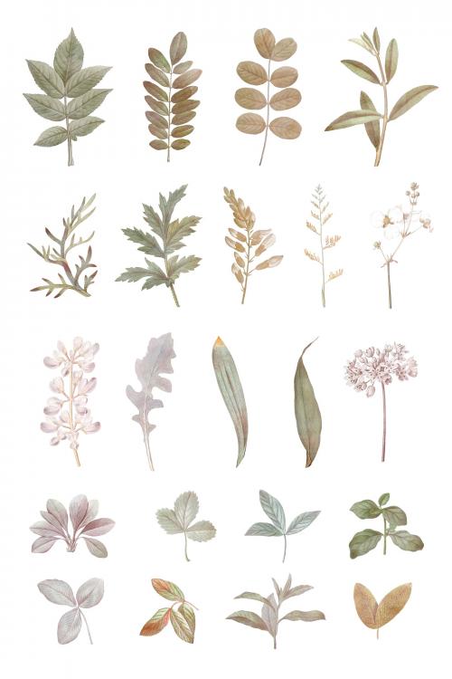 Foliage design elements vector set - 1213623