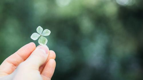 Woman holding a four-leaf clover - 2053928