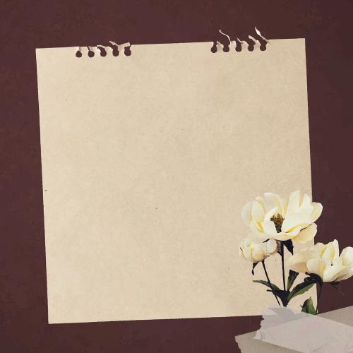 White peonies on paper textured background vector - 1217353