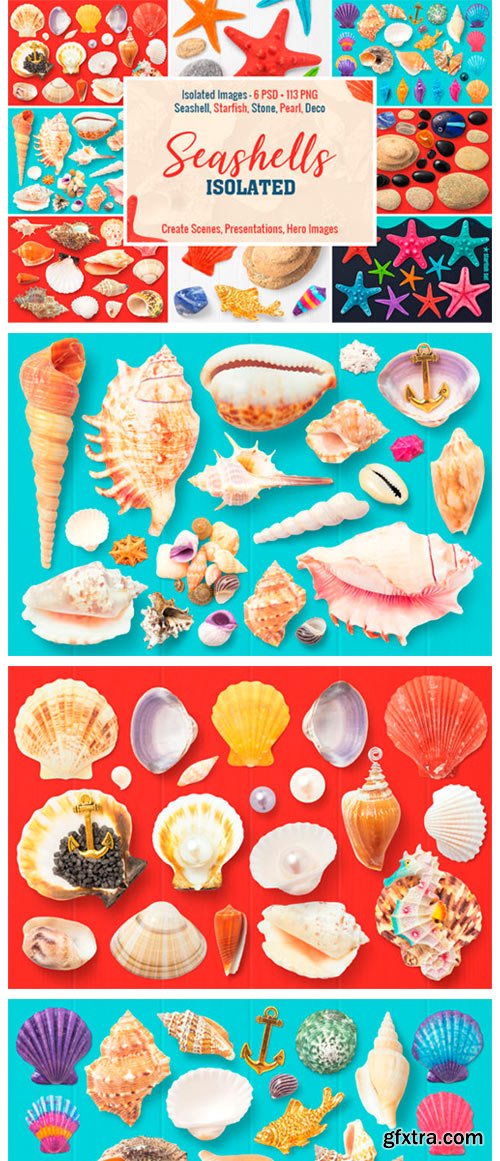 Isolated Seashells &amp; Stones 4253485