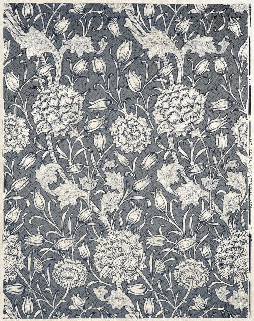 Gray wild Tulip vintage illustration, remix from original painting by William Morris. - 2270331