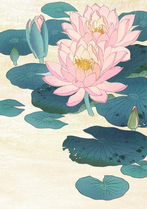 Water lily vintage wall art print poster design remix from original artwork by Ohara Koson. - 2271278