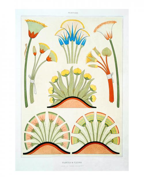 Egyptian plants and flowers vintage wall art print poster design remix from original artwork. - 2272856