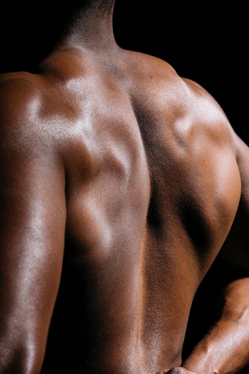 Rear view of a flexed back muscular - 2025255