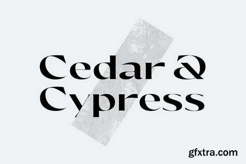 Olivette CF Font Family