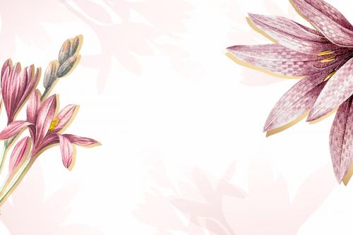 Pink amaryllis pattern background vector - 1212293