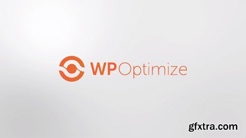 WP-Optimize Premium v3.1.1 - Keep Your Database Fast Efficient - NULLED