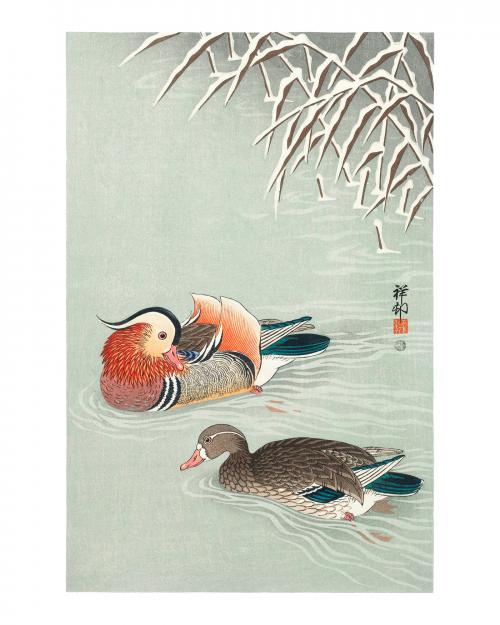 Mandarin ducks vintage illustration by Ohara Koson. Digitally enhanced by rawpixel. - 2267420