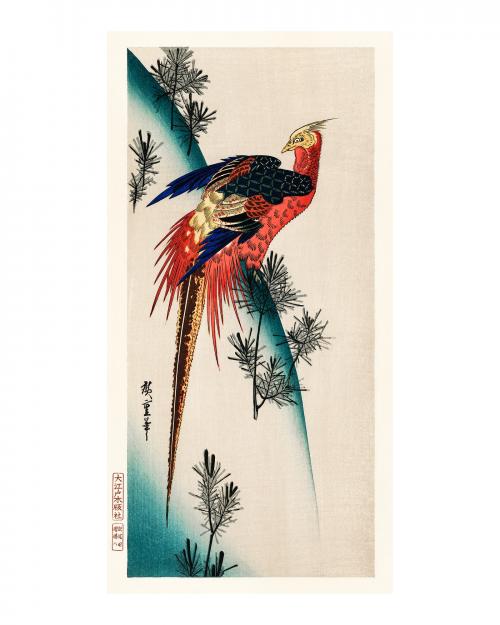 Pheasant and small pine vintage illustration wall art print and poster design remix from original artwork. - 2268030