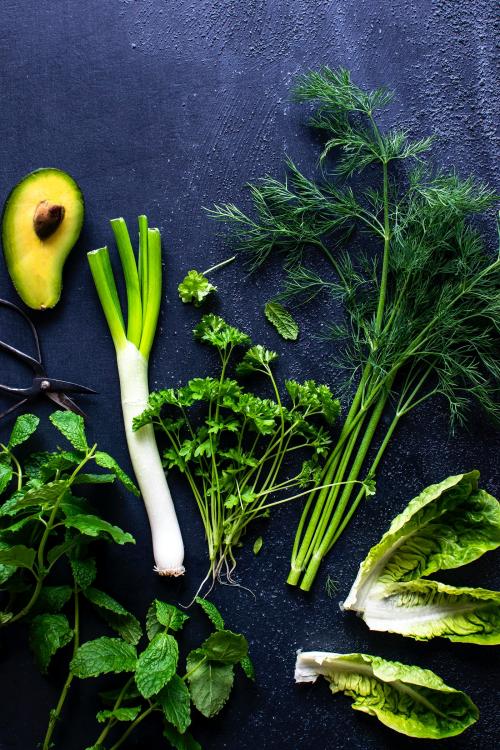 Mixed green fresh organic herbs and salads flatlay - 2269731