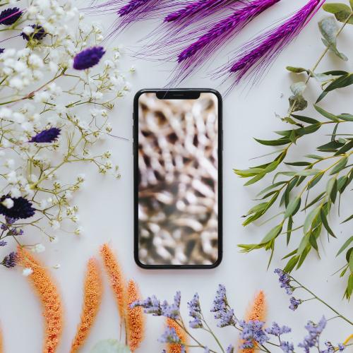 Phone mockup framed with a bunch of dried colorful flowers - 521313