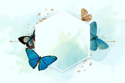 Hexagon frame with blue butterflies patterned background vector - 1222323