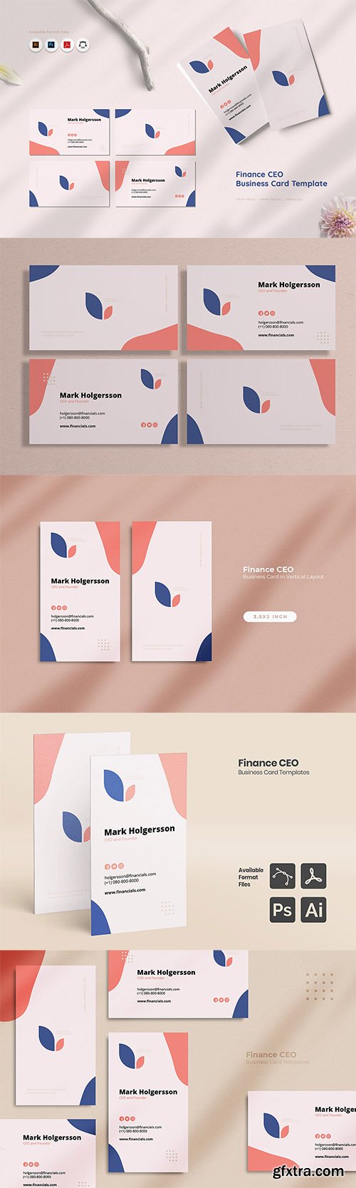 Finance CEO Business Card