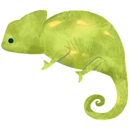 Green Chameleon on a beige background transparent png - 2053108