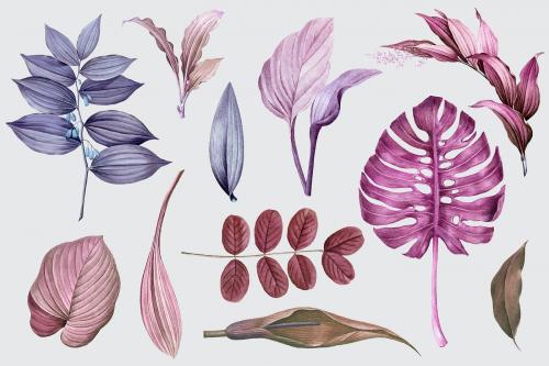 Purple leaves collection design vector - 1200090