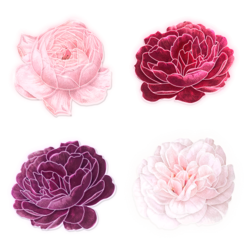 Blooming neon rose transparent png - 2204858