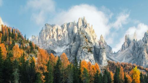 Dolomites mountain and autumn trees - 2092666