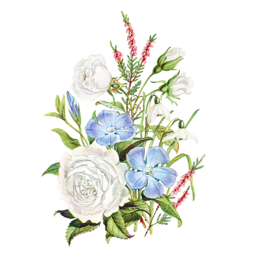 Vintage flower bouquet transparent png - 2098582