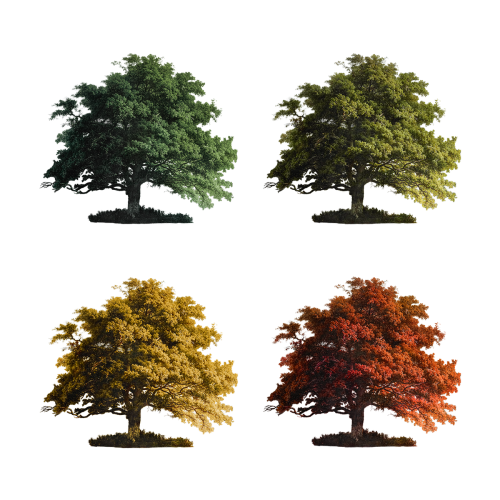 Set of vintage oak tree illustrations transparent png - 2187031